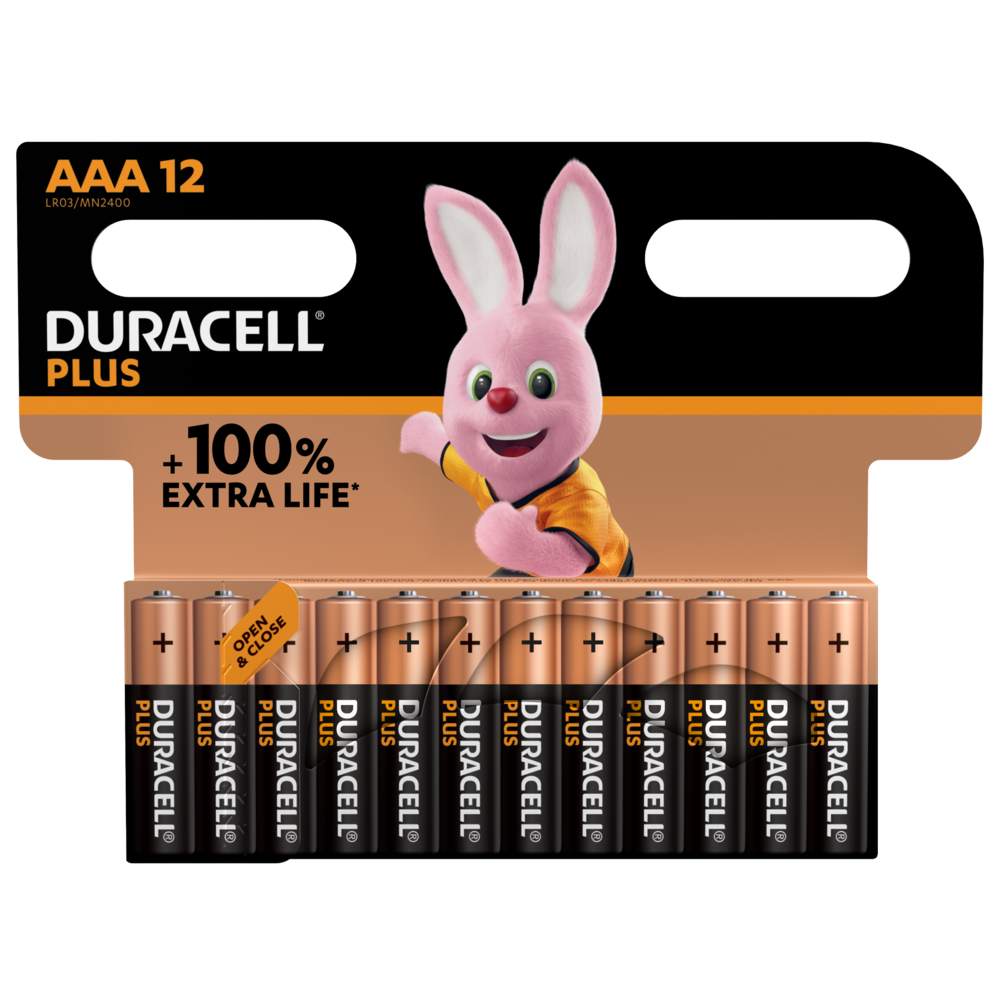 Basics Piles alcalines AAA 1,5 V pour le quotidien - Lot de 20 (le  visuel peut différer) : : High-Tech